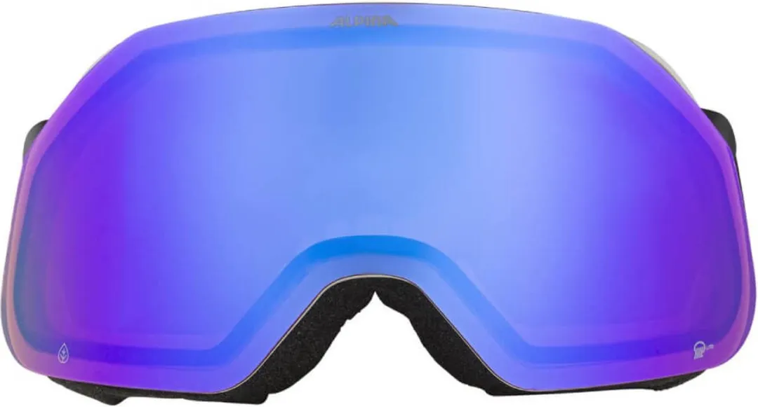 Alpina Blackcomb Q-Lite OTG Skibril - Grijs