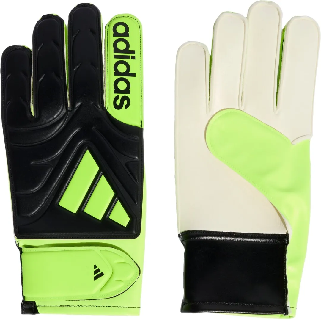 adidas Performance Copa Club Goalkeeper Gloves JN5340 - Zwart