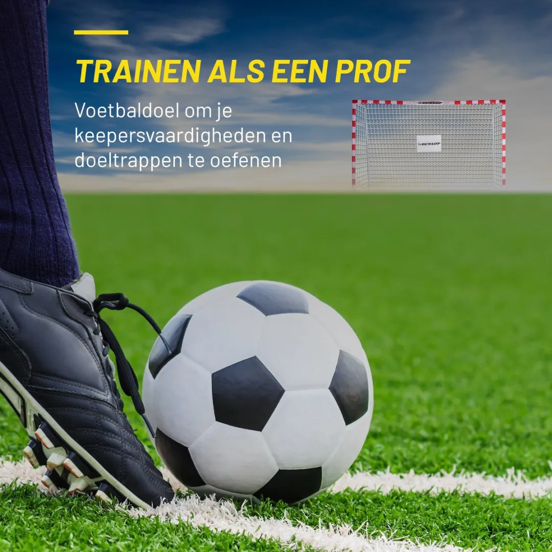 Dunlop Voetbaldoel 300x200x110cm - Metaal - Rood