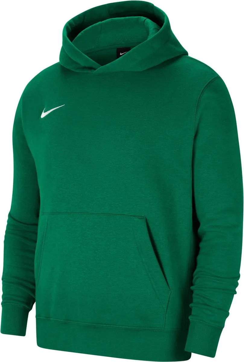 Nike Park 20 Fleece Hoodie Junior CW6896-302