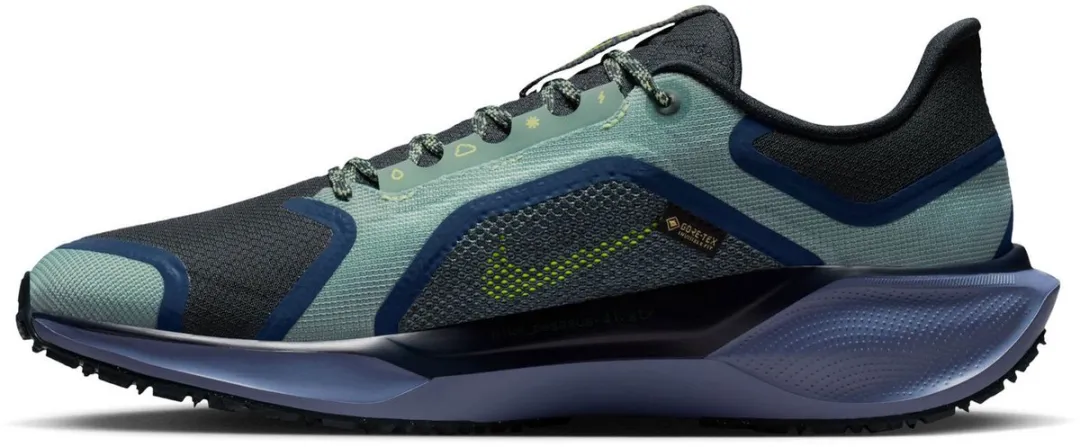 Nike Air Zoom Pegasus 41 GTX Hardloopschoenen FQ1356-006