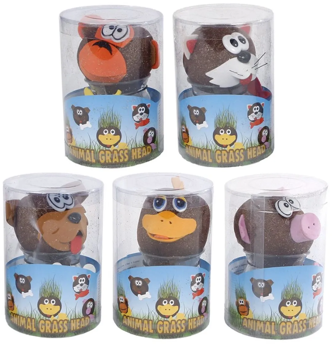 Toys Amsterdam Grasvriendjes Varken Junior 12,5cm - Bruin
