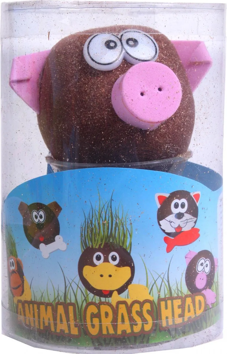 Toys Amsterdam Grasvriendjes Varken Junior 12,5cm