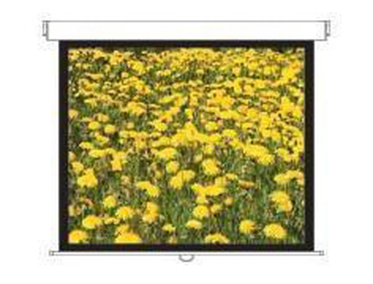 Optoma Panoview DS-3120PMG+ Projectiescherm - 120" - Wit