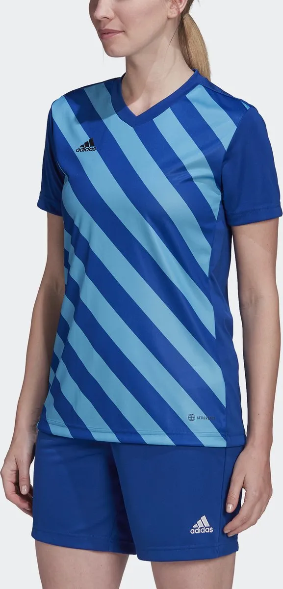 adidas Performance Entrada 22 Graphic Voetbalshirt XS - Blauw
