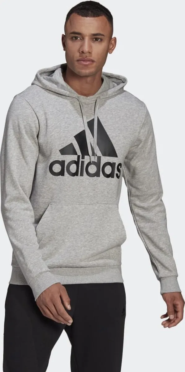 adidas Sportswear Essentials Big Logo Hoodie GK9541 - Grijs L