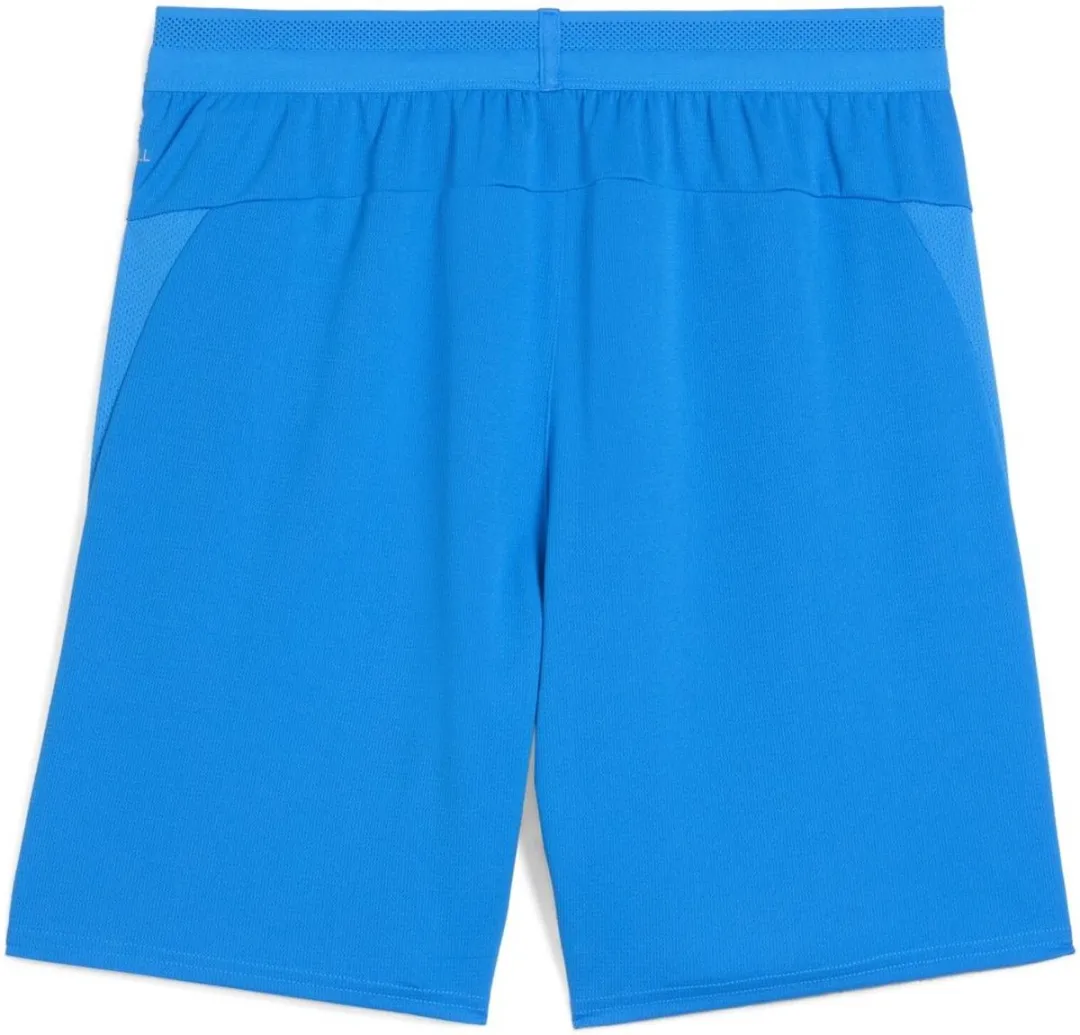 PUMA TeamCUP Shorts Electro Royal - S