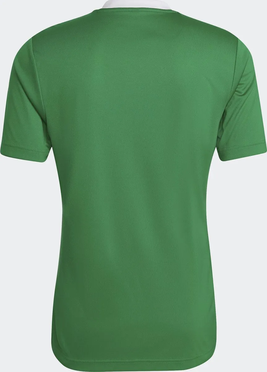adidas Performance Entrada 22 Voetbalshirt HI2123 - L - Groen - afbeelding 6 van 6