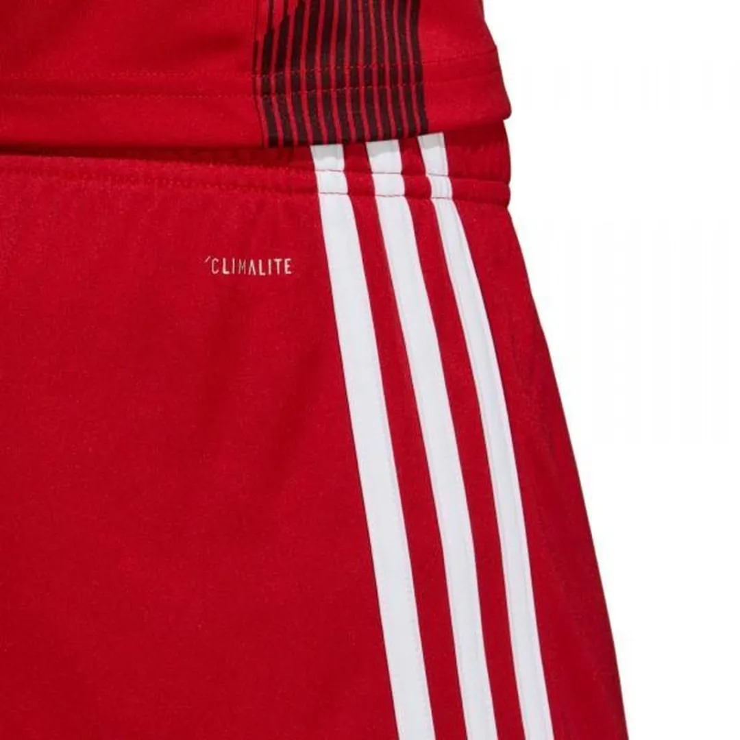 adidas Tastigo 19 Short M - Rood