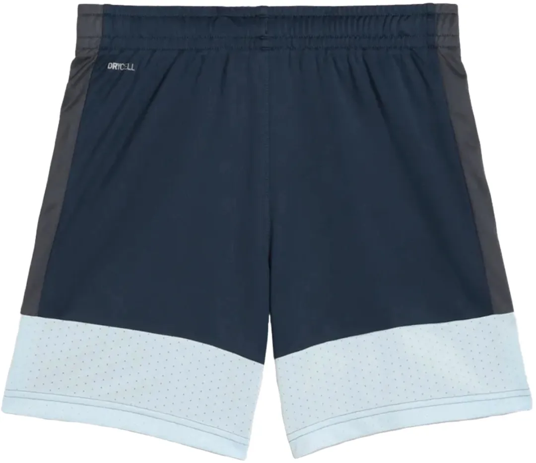 PUMA Individualliga Training Shorts Jr 140 - Blauw