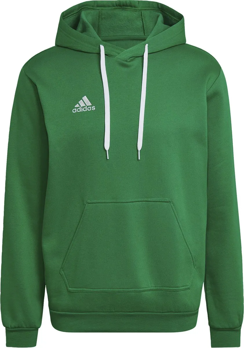 Adidas Performance Entrada 22 Sweat Hoodie L - Groen
