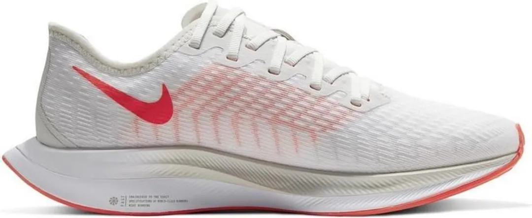 Nike Zoom Pegasus Turbo 2 AT8242-008