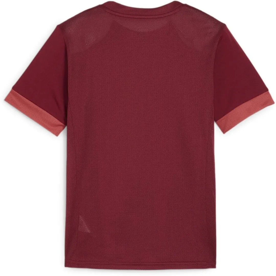 PUMA Kinder TeamGoal Matchday Jersey 116 - Team Regal Red/White/Astro Red