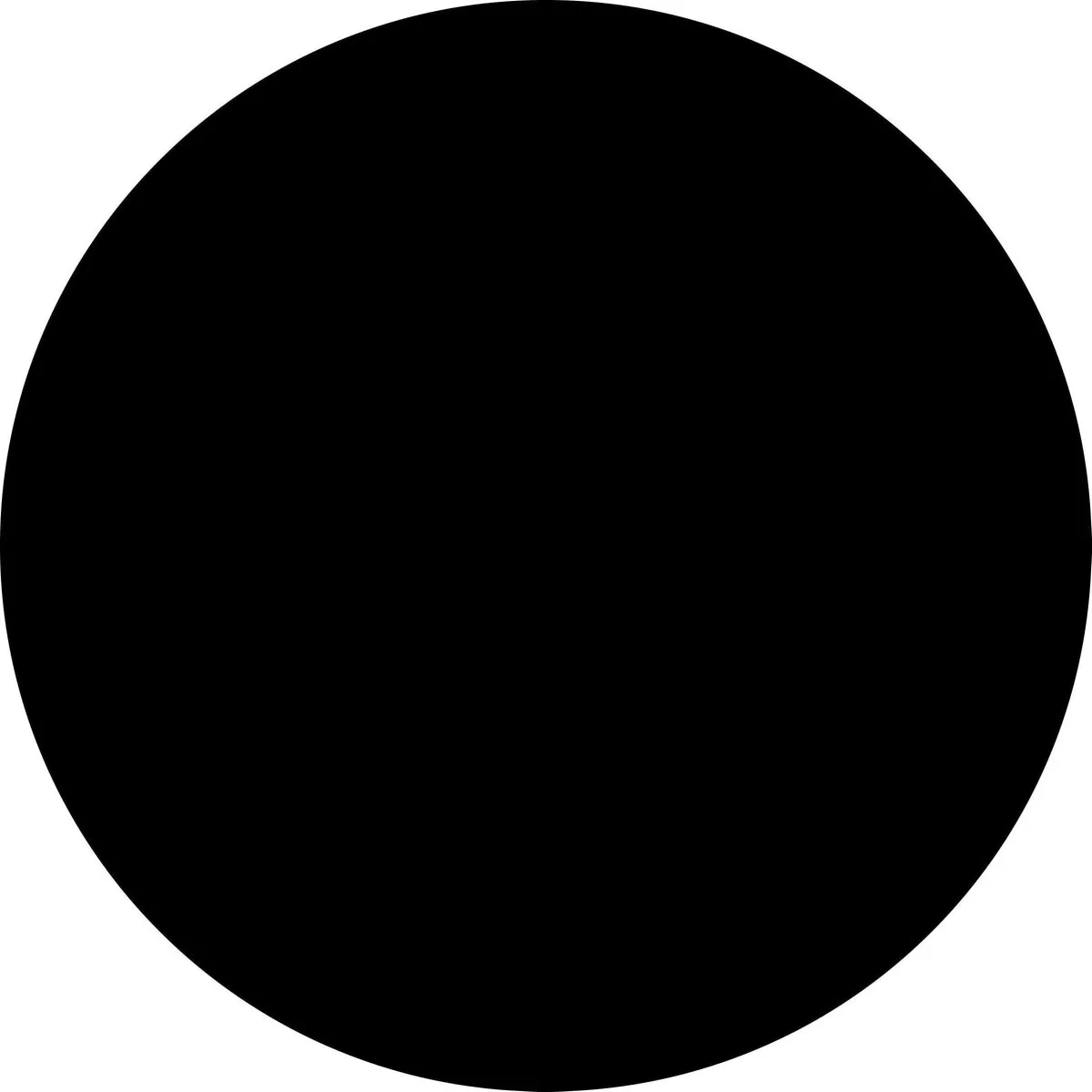 Canon CLI-8BK - Inktcartridge / Zwart