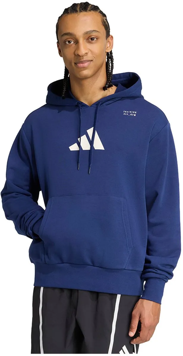 Adidas Category Training Graphic Hoodie