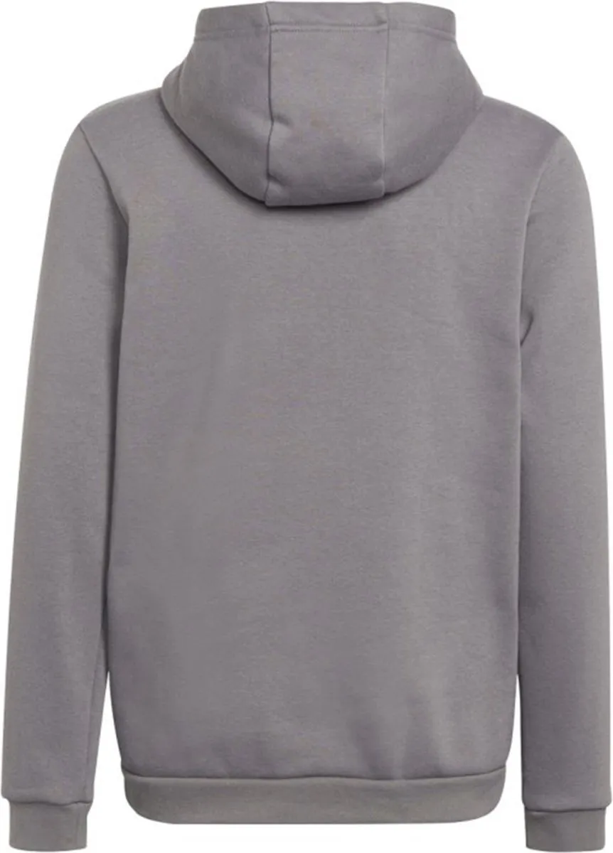 adidas Performance Entrada 22 Hoodie - Grijs - XL