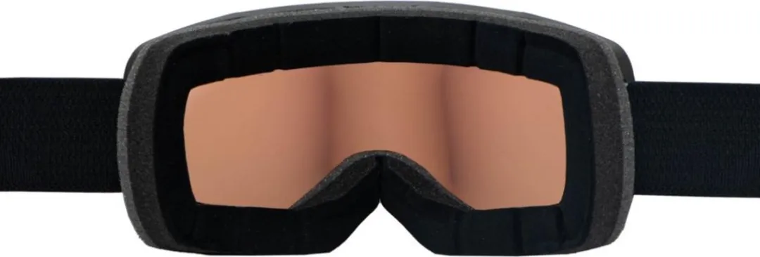 Alpina Taos QV Photochromic Skibril - Zwart