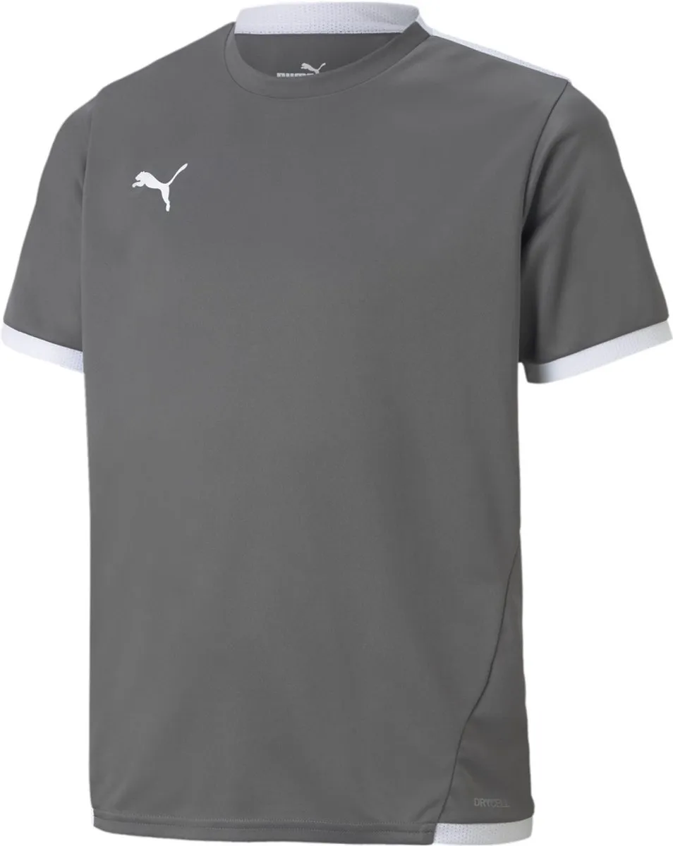 PUMA Teamliga Shirt Kinderen 116 - Grijs/Wit