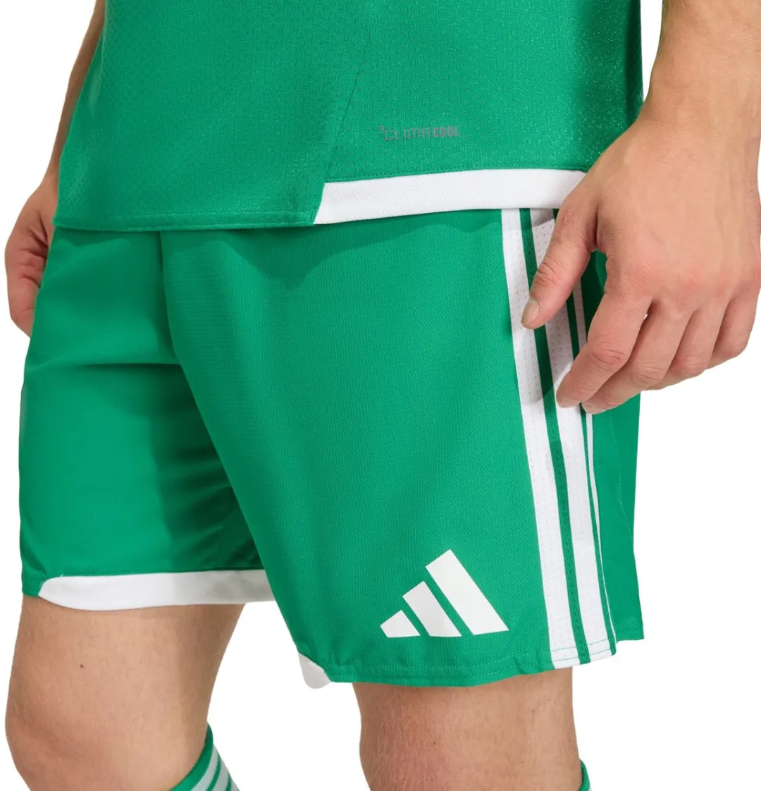 adidas Tiro 26 Herenshort - Groen XXL