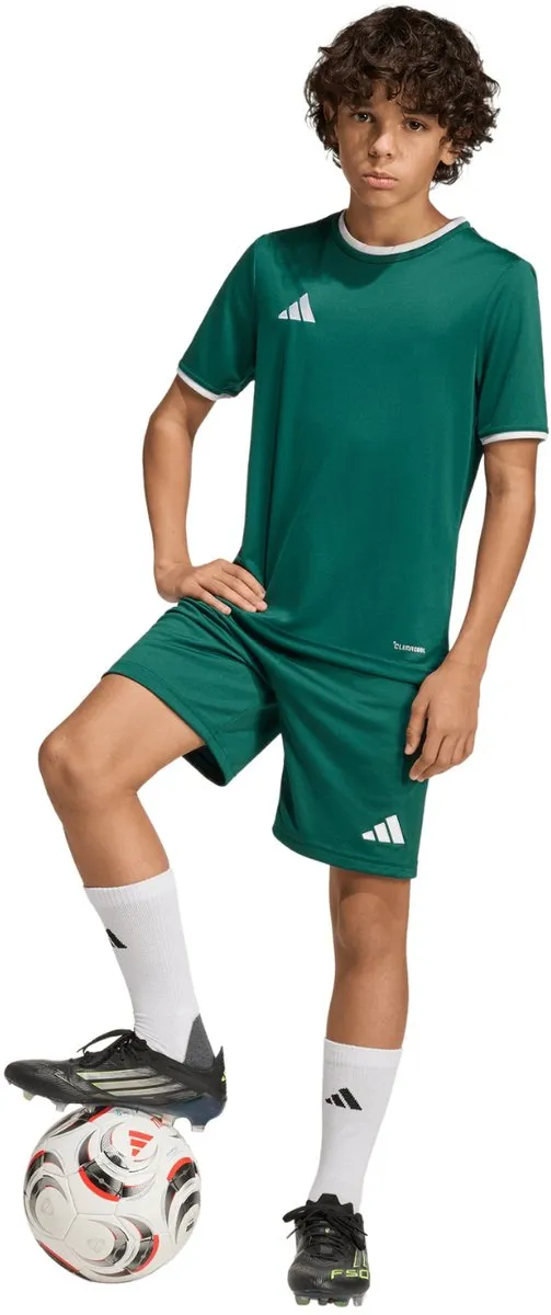 adidas Entrada 26 Korte Broek 11-12 Years - 152cm - Team Dark Green