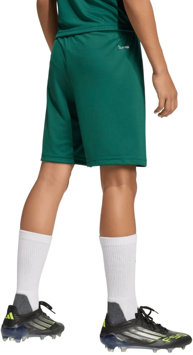adidas Entrada 26 Korte Broek 11-12 Years - 152cm - Team Dark Green