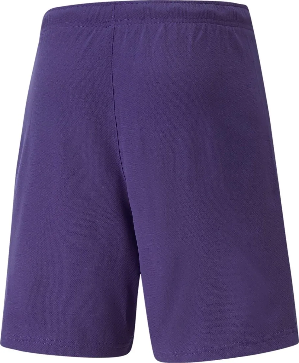 PUMA Teamrise Short Heren - Paars - L