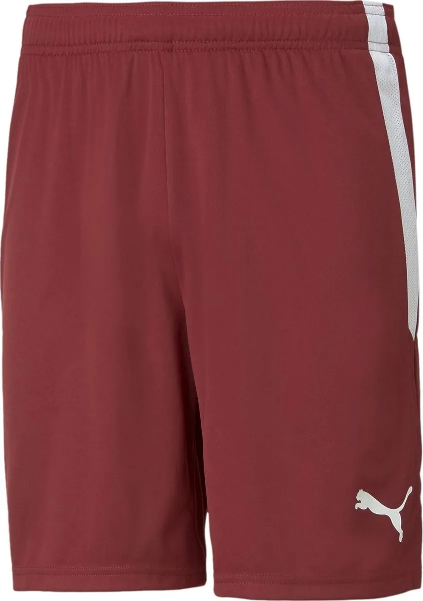 PUMA Teamliga Short Heren