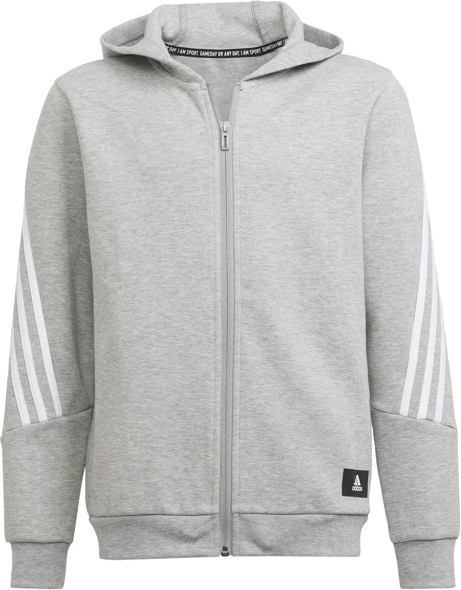 adidas Future Icons 3-Stripes Ritshoodie - Kinderen - Grijs