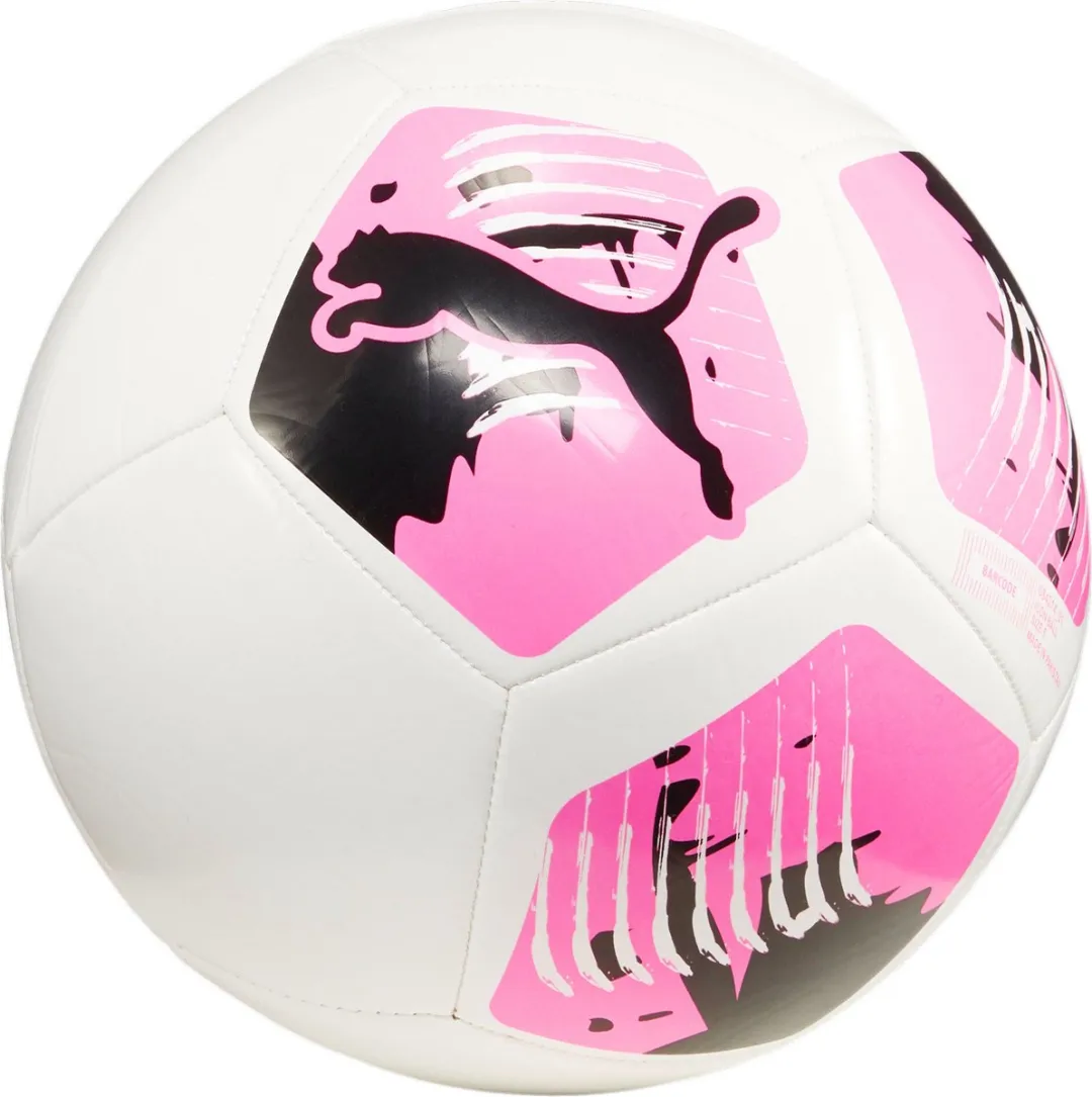 PUMA Voetbal Big Cat