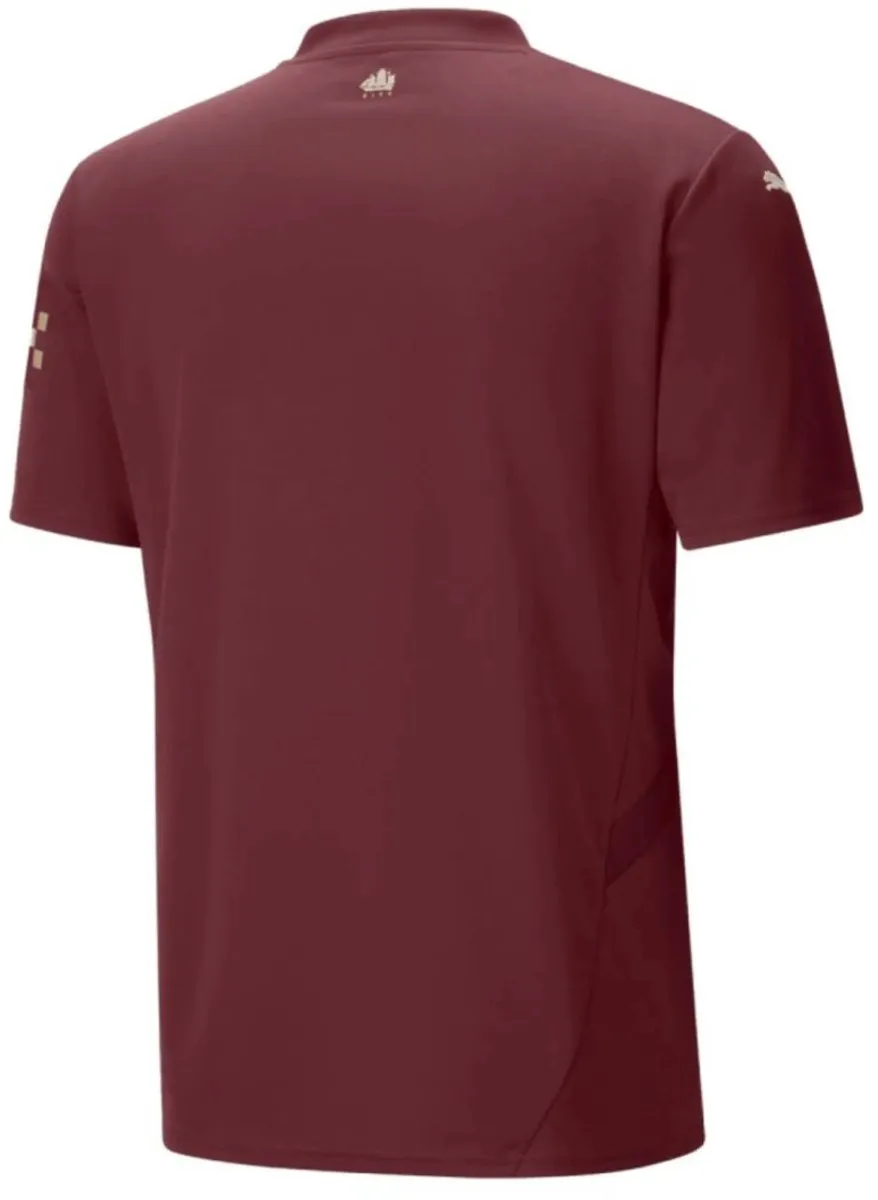 PUMA Manchester City FC Derde T-shirt - Paars - L