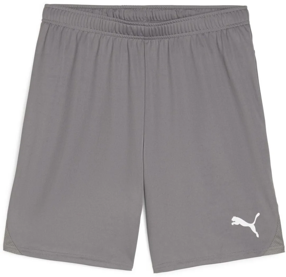 PUMA TeamGoal Shorts 705752