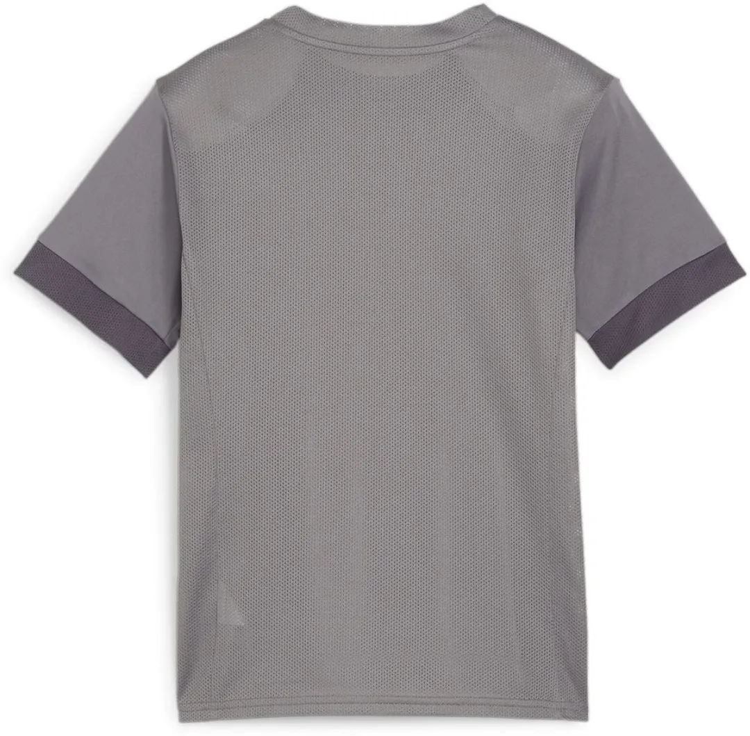 PUMA Kinder TeamGoal Matchday Jersey 705748 - 152 - Cast Iron/Wit/Grijs
