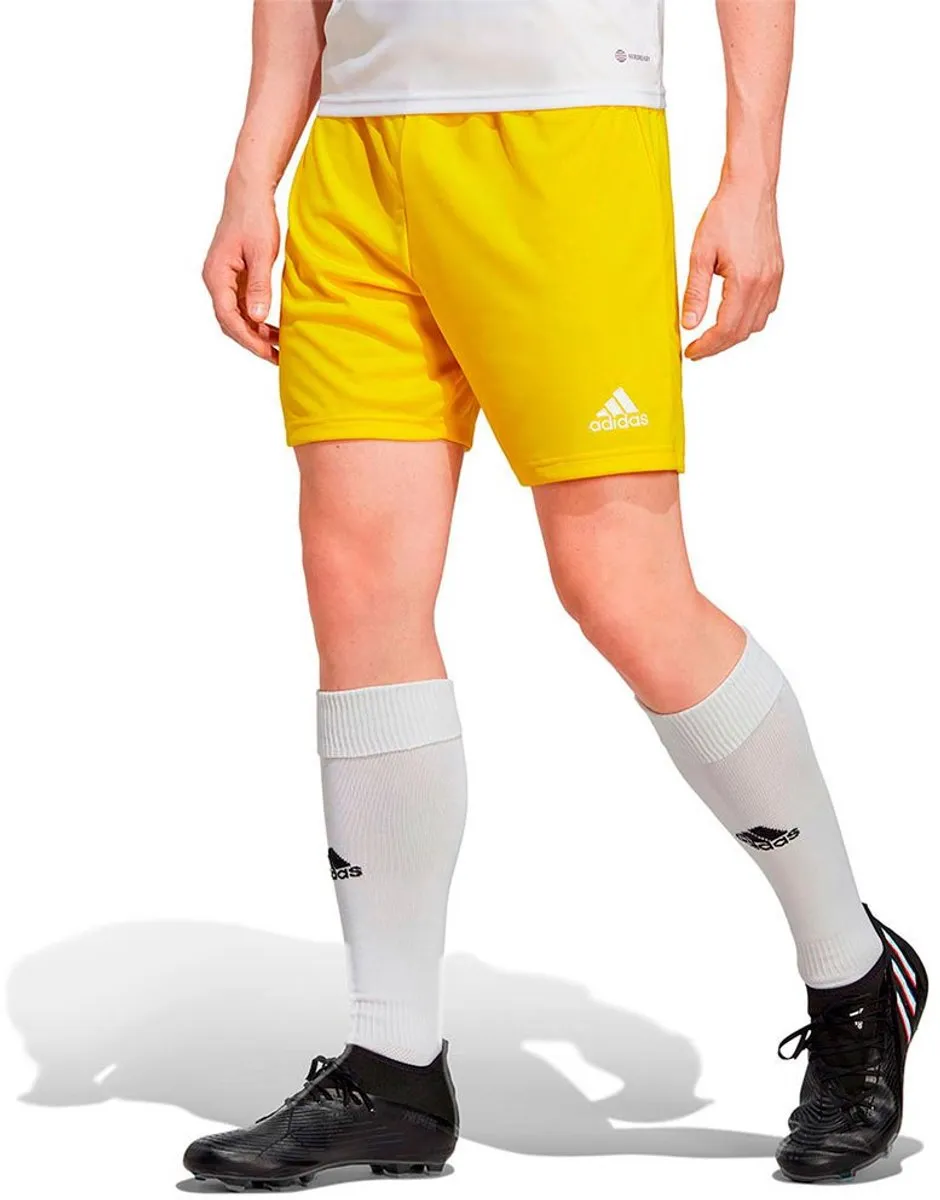 Adidas Ent22 Korte Broek