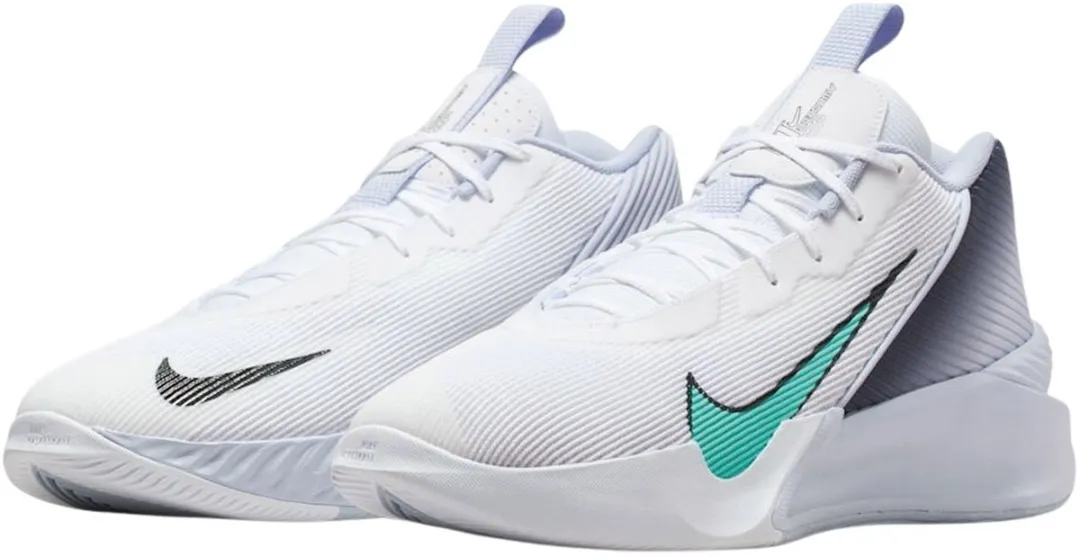 Nike Jump Schoenen FV5524-101