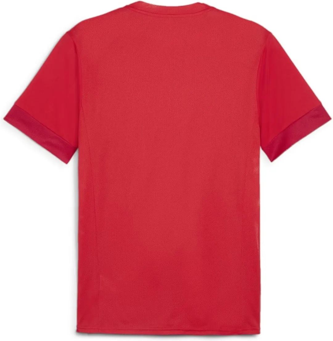 PUMA TeamGOAL Matchday Jersey Heren - Rood/Wit
