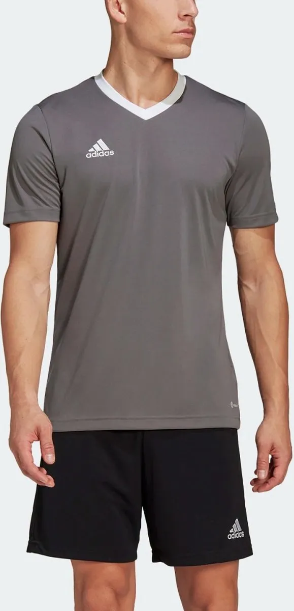 adidas Performance Entrada 22 Voetbalshirt 2XL - Grijs