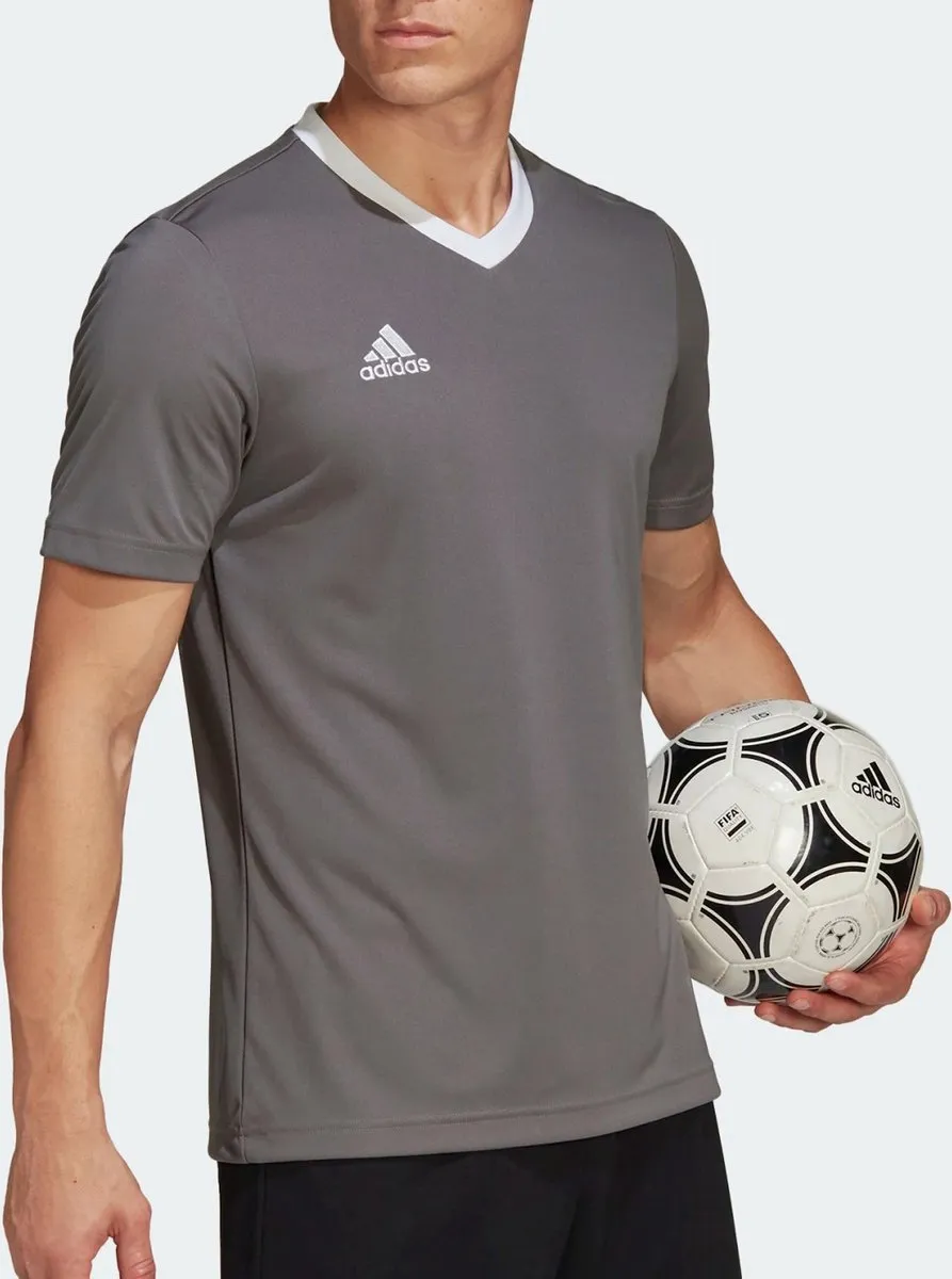 adidas Performance Entrada 22 Voetbalshirt 2XL - Grijs