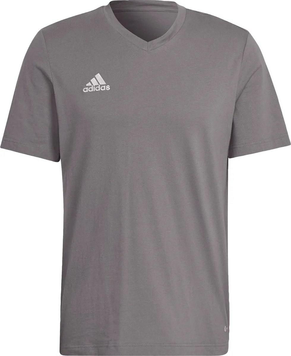 adidas Performance Entrada 22 T-shirt L - Grijs