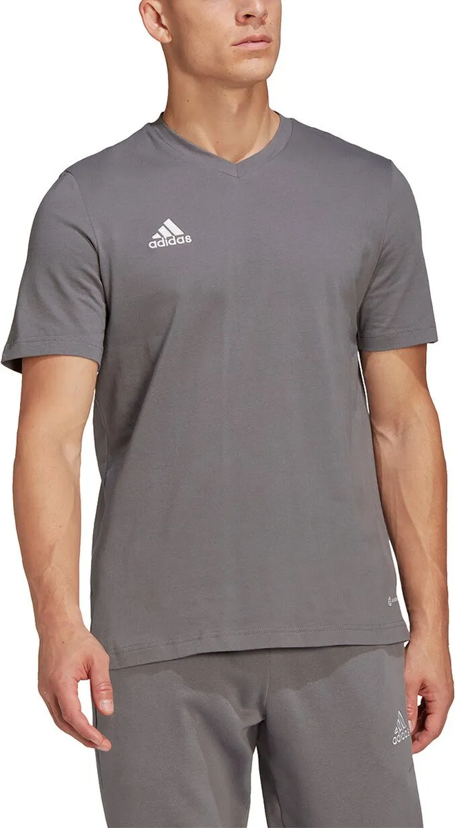 adidas Performance Entrada 22 T-shirt L - Grijs
