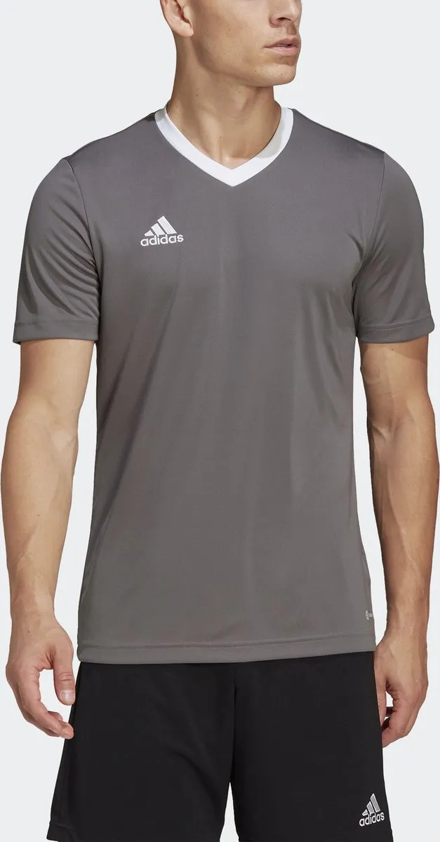 adidas Performance Entrada 22 Voetbalshirt XS - Grijs