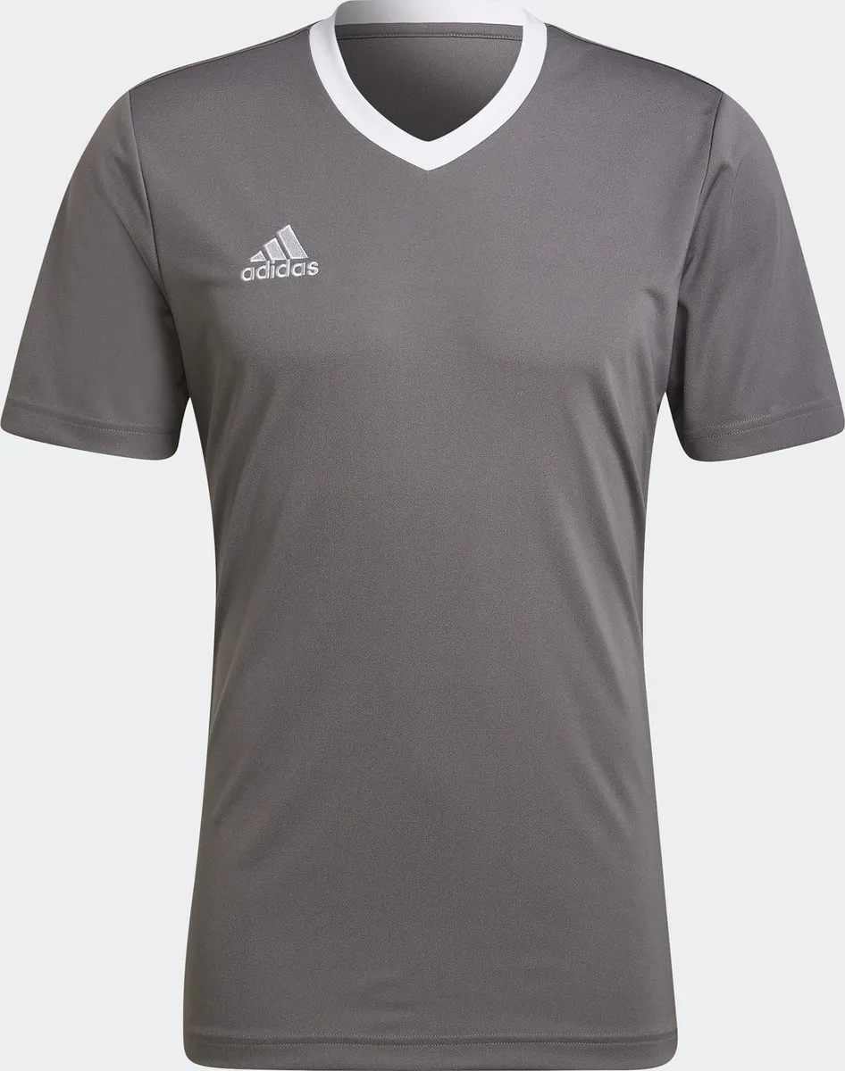 adidas Performance Entrada 22 Voetbalshirt XS - Grijs