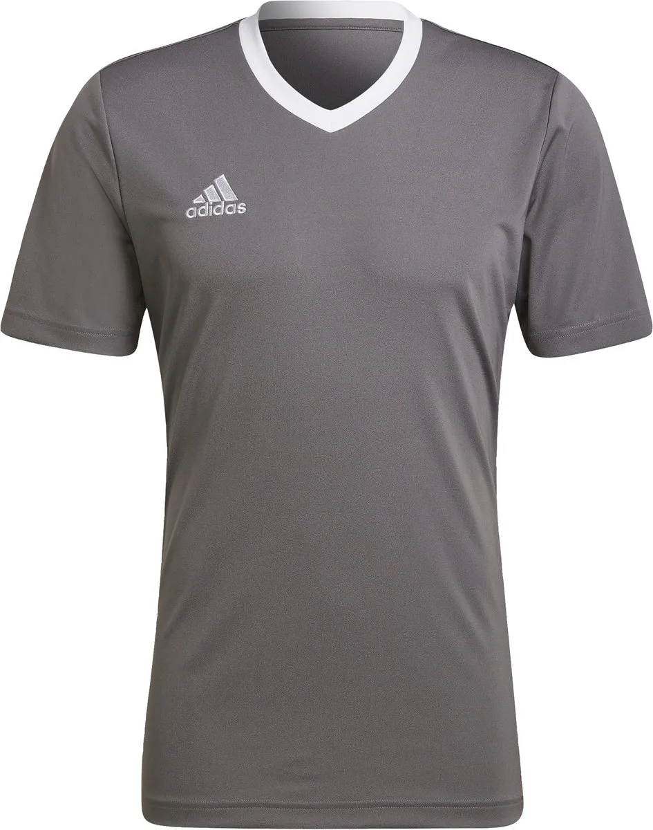 adidas Performance Entrada 22 Voetbalshirt XS - Grijs