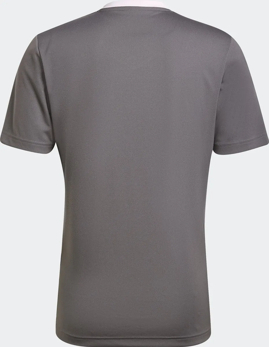 adidas Performance Entrada 22 Voetbalshirt XS - Grijs