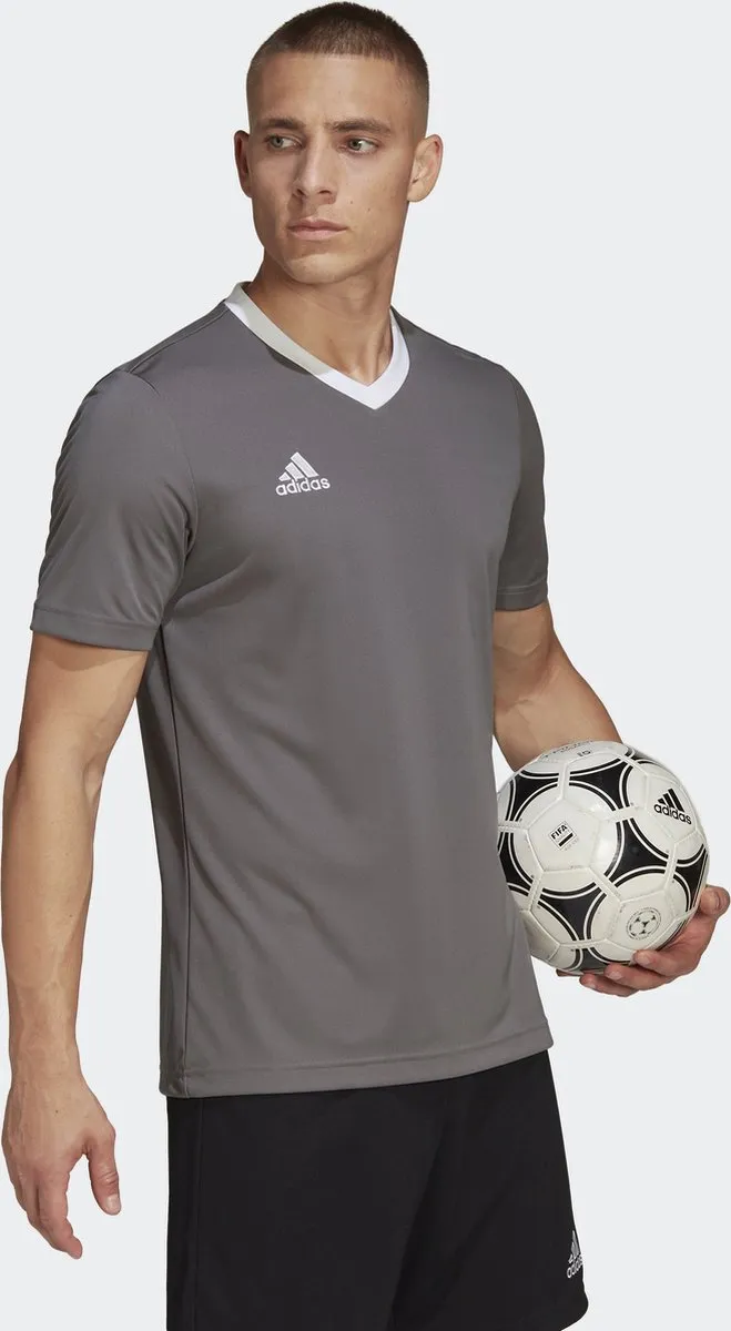 adidas Performance Entrada 22 Voetbalshirt XS - Grijs