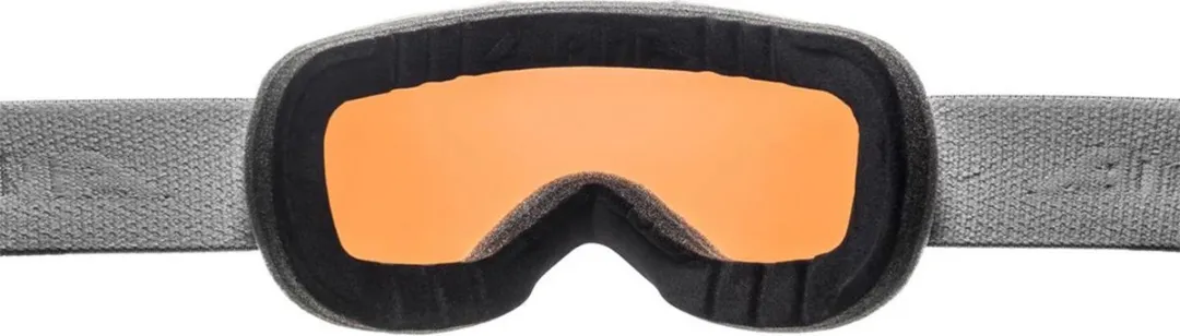 Alpina Pheos S Q Skibril - Grijs - Multi Effect Lens
