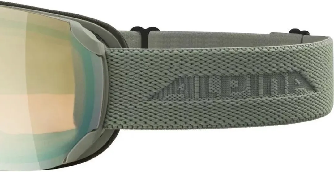 Alpina Pheos S Q Skibril - Grijs - Multi Effect Lens