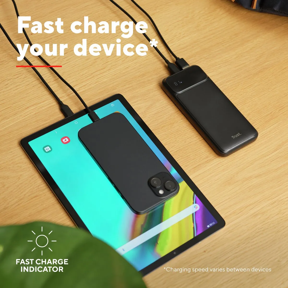 Trust Avala Powerbank 10000mAh 20W - 2x USB-A/USB-C - Zwart