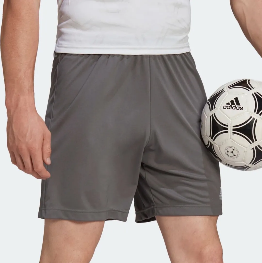 adidas Entrada 22 Short Heren M - Grijs/Wit - afbeelding 6 van 6