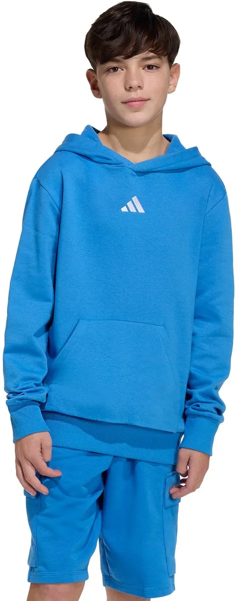 adidas Essentials Hoodie Kids JM0875 - 116 - Blauw