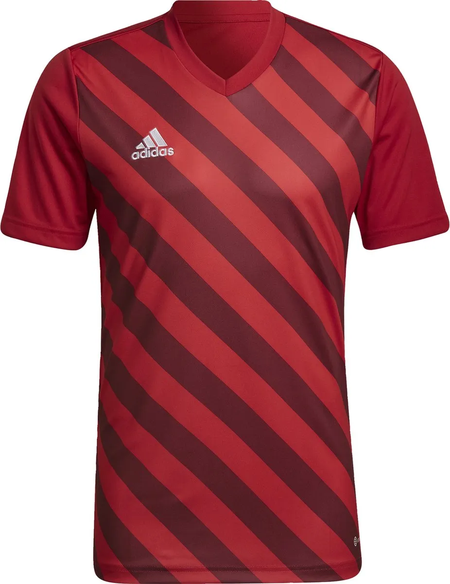 adidas Performance Entrada 22 Graphic Voetbalshirt HB0572